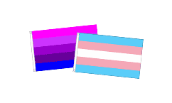 Transgender Flags